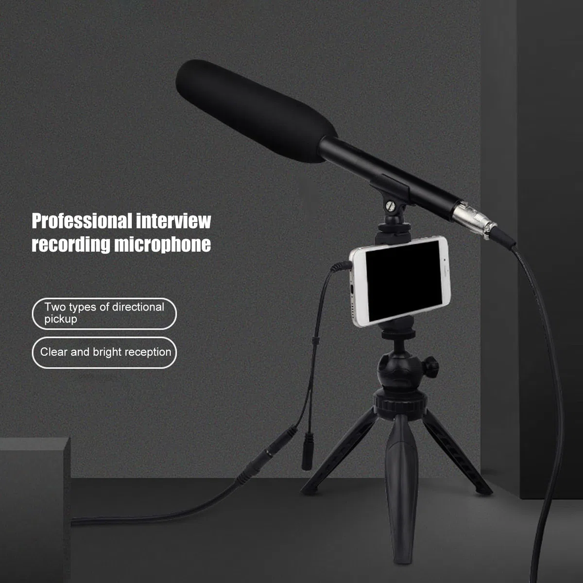 Tyenaza Microfono a Fucile, Microfono a Condensatore per Fucile da Caccia XLR, Microfono Direzionale Professionale ad Alta Sensibilità per Intervista per Reporter di Notizie Televisive, per Fotocamera
